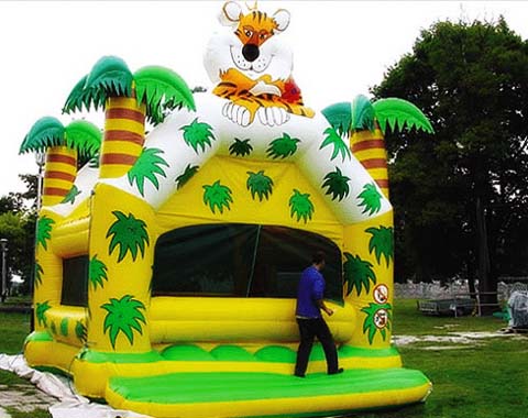 �����Ǳ�24